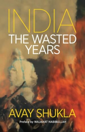 z India - The Wasted Years by Avay Shukla